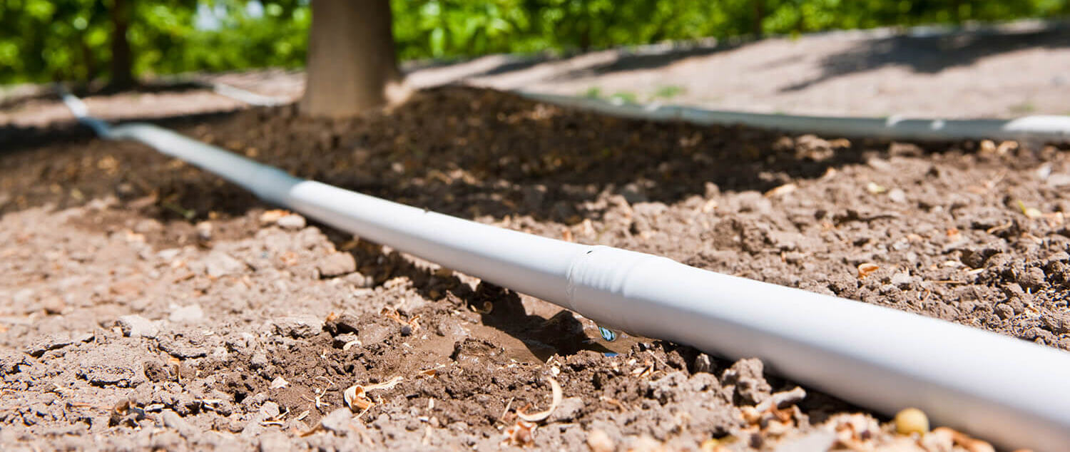 Porque é que os agricultores estão a escolher o tubo gotejador branco