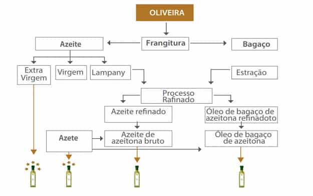 processo de produção de azeite de oliveira