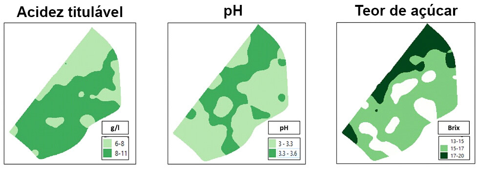 DISTRIBUTION OF SOME QUALITY MUSTS PARAMETERS WITHIN THE VINEYARD